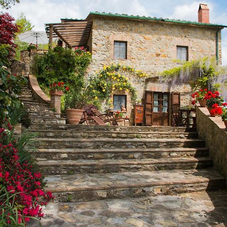 Podere Piandicava Castelnuovo di Val di Cecina Luaran gambar