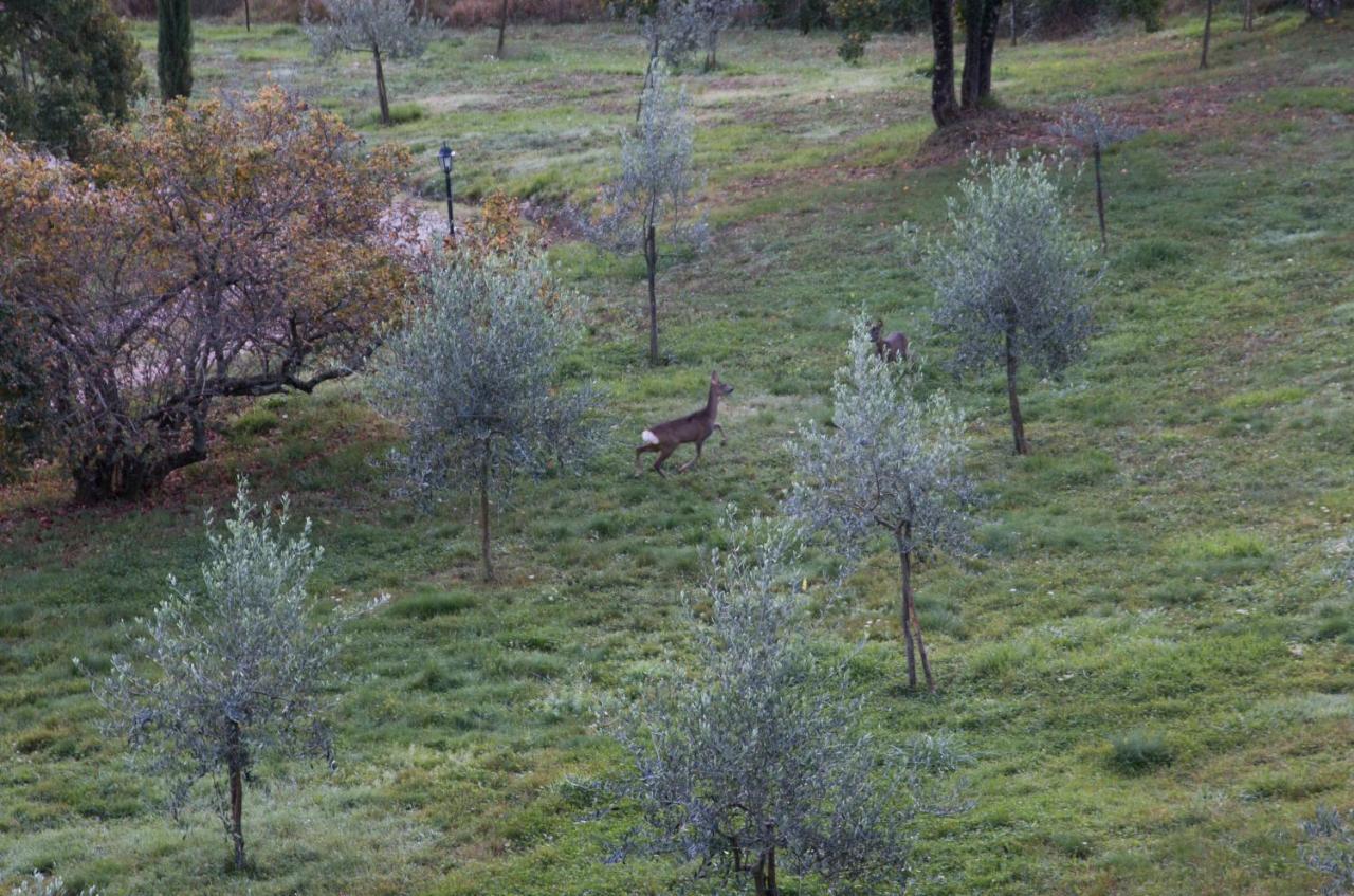 Podere Piandicava Castelnuovo di Val di Cecina Luaran gambar