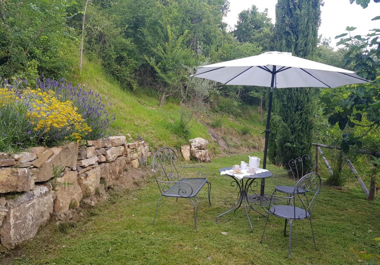 Podere Piandicava Castelnuovo di Val di Cecina Luaran gambar