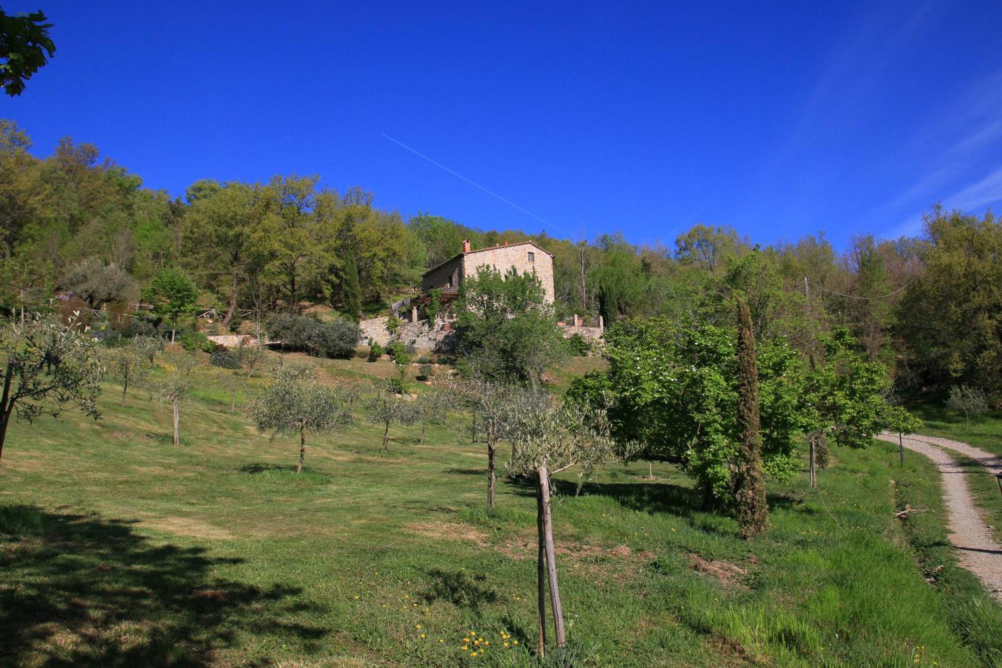 Podere Piandicava Castelnuovo di Val di Cecina Luaran gambar