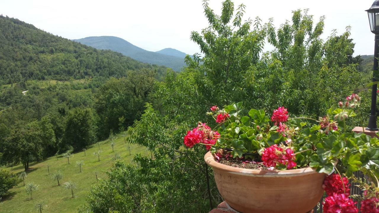 Podere Piandicava Castelnuovo di Val di Cecina Luaran gambar