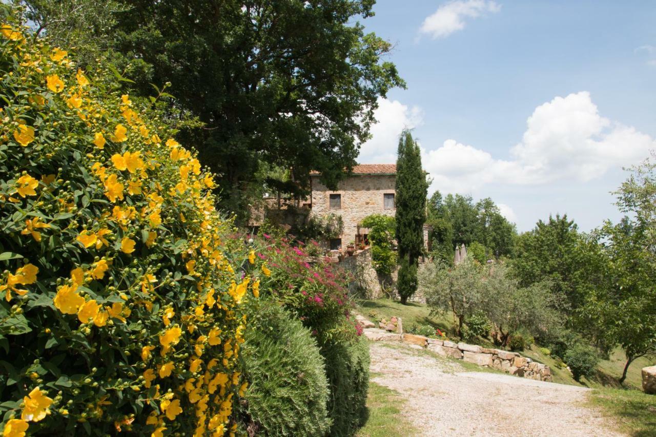 Podere Piandicava Castelnuovo di Val di Cecina Luaran gambar